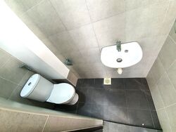 The Tanamera (D16), Condominium #502711811